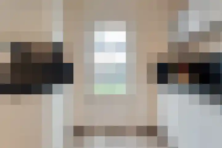 De Marke van Leusen 24 Nieuwleusen thumbnail 20