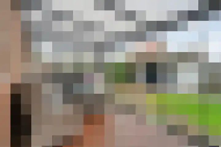 De Marke van Leusen 24 Nieuwleusen thumbnail 21