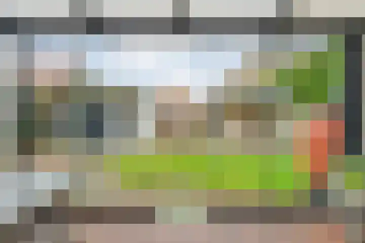 De Marke van Leusen 24 Nieuwleusen thumbnail 23
