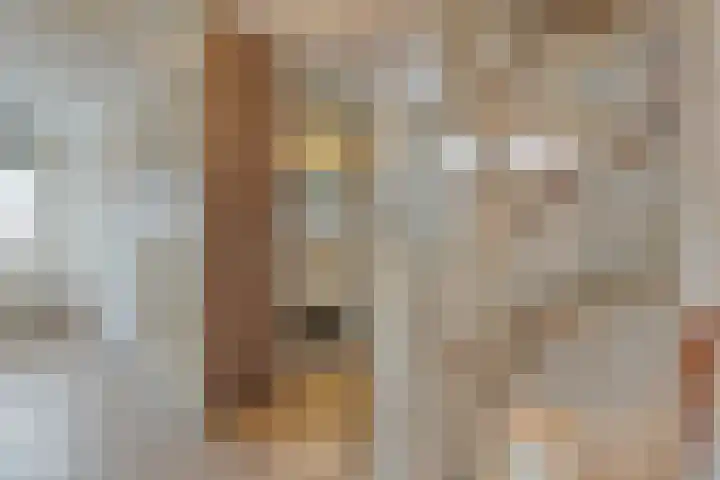 De Marke van Leusen 24 Nieuwleusen thumbnail 25
