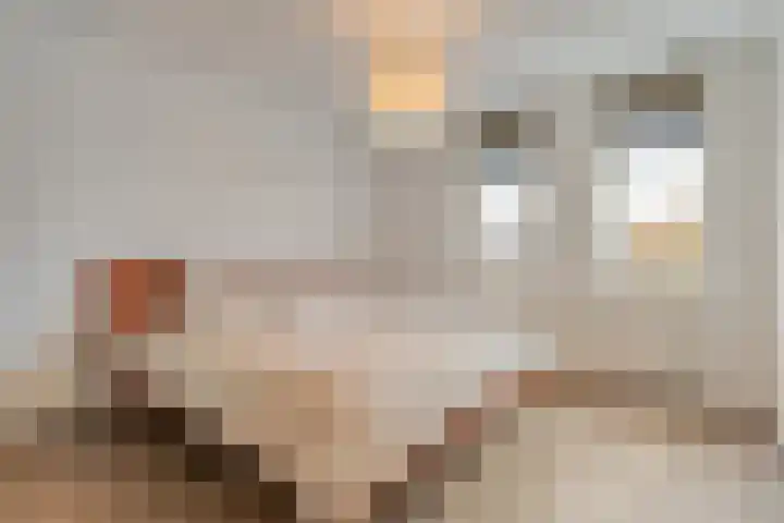 De Marke van Leusen 24 Nieuwleusen thumbnail 27