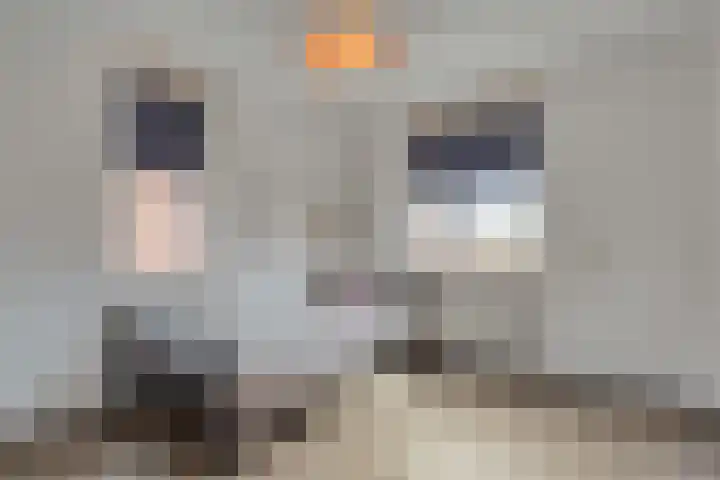 De Marke van Leusen 24 Nieuwleusen thumbnail 29