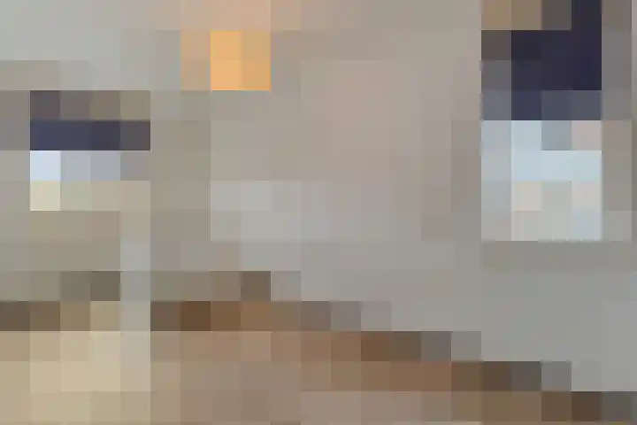 De Marke van Leusen 24 Nieuwleusen thumbnail 31