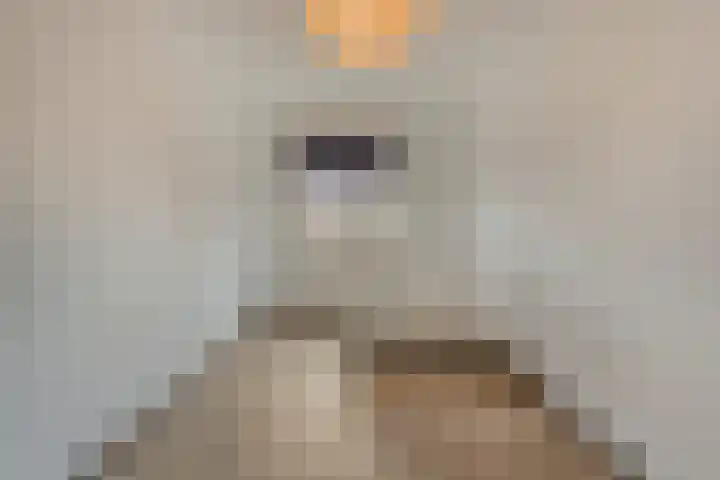De Marke van Leusen 24 Nieuwleusen thumbnail 32