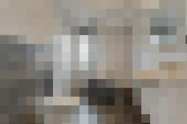 De Marke van Leusen 24 Nieuwleusen thumbnail 34