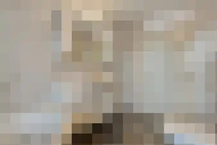De Marke van Leusen 24 Nieuwleusen thumbnail 35