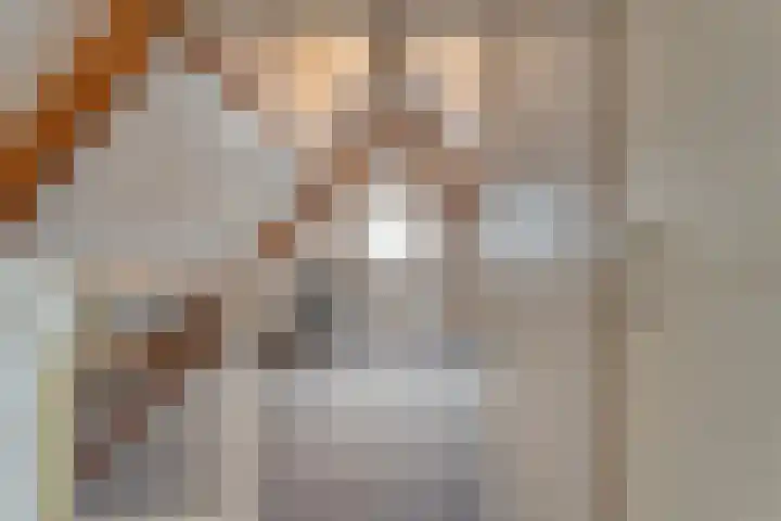 De Marke van Leusen 24 Nieuwleusen thumbnail 36