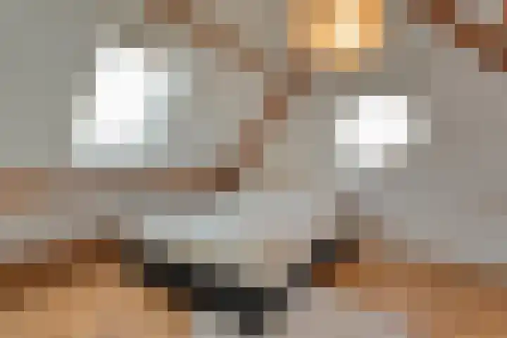 De Marke van Leusen 24 Nieuwleusen thumbnail 37