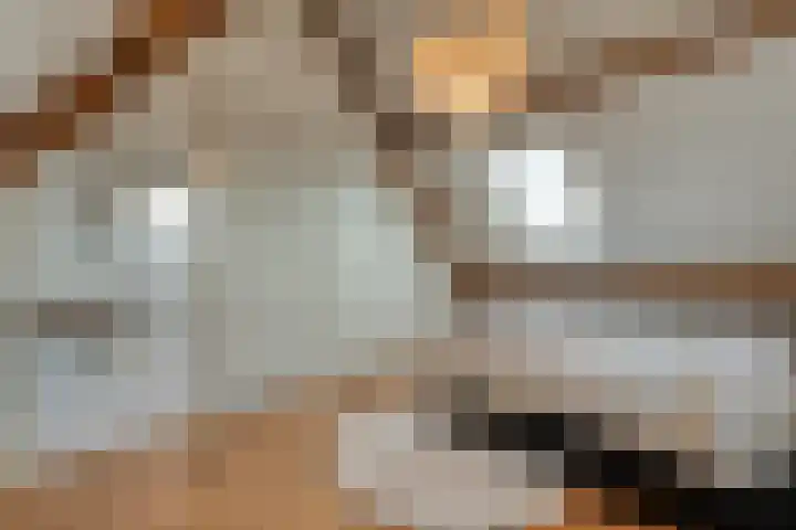 De Marke van Leusen 24 Nieuwleusen thumbnail 38