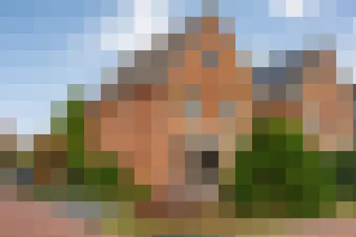 De Marke van Leusen 24 Nieuwleusen thumbnail 4