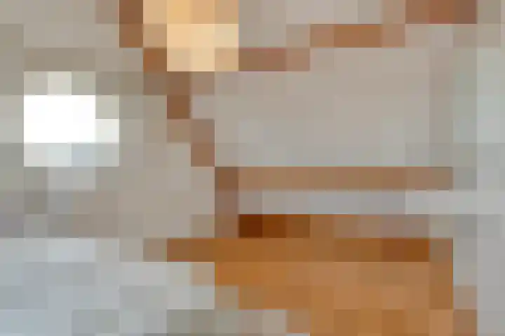 De Marke van Leusen 24 Nieuwleusen thumbnail 40