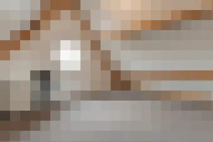 De Marke van Leusen 24 Nieuwleusen thumbnail 42