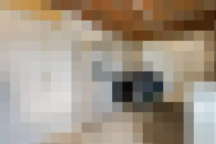 De Marke van Leusen 24 Nieuwleusen thumbnail 45