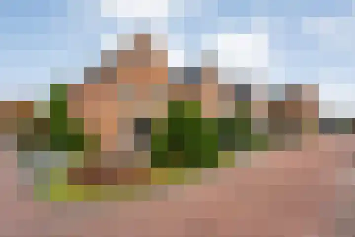 De Marke van Leusen 24 Nieuwleusen thumbnail 46