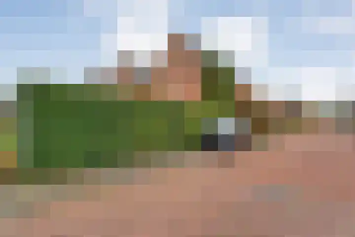 De Marke van Leusen 24 Nieuwleusen thumbnail 47