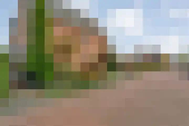 De Marke van Leusen 24 Nieuwleusen thumbnail 48