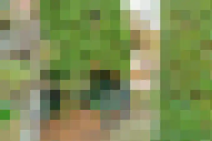 De Marke van Leusen 24 Nieuwleusen thumbnail 49