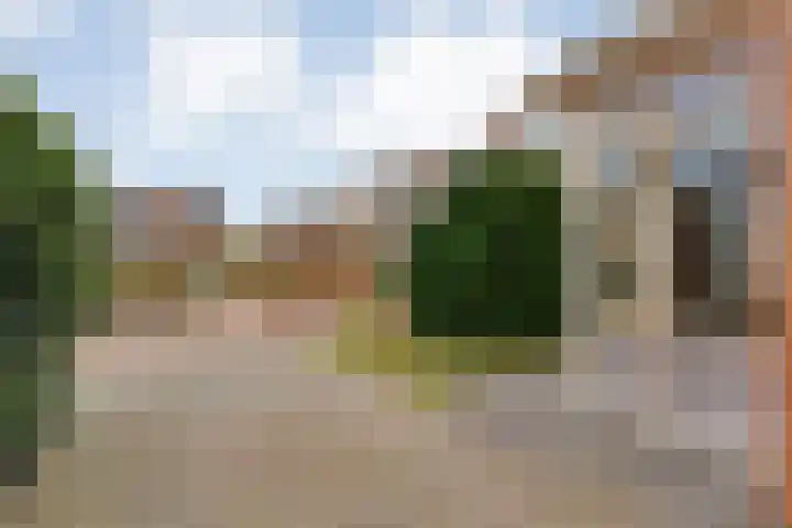 De Marke van Leusen 24 Nieuwleusen thumbnail 5