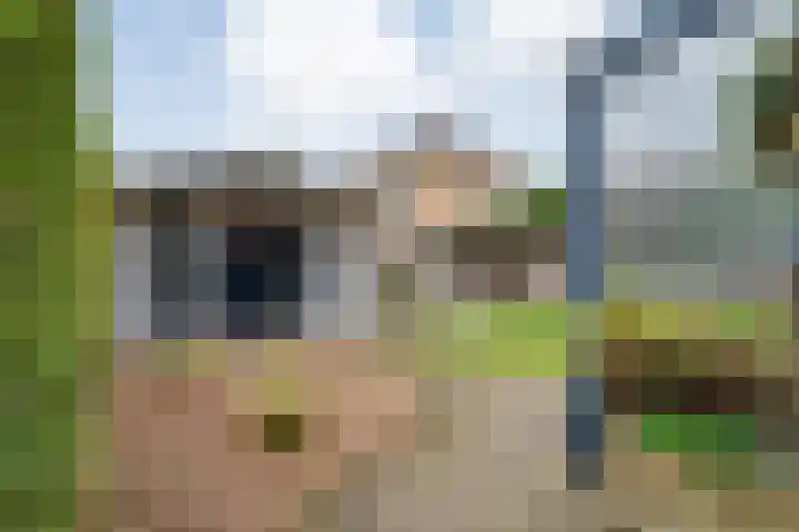 De Marke van Leusen 24 Nieuwleusen thumbnail 50