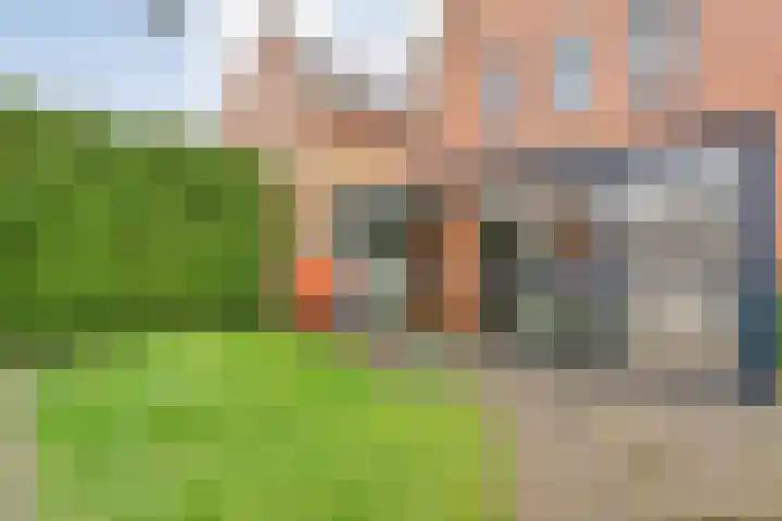 De Marke van Leusen 24 Nieuwleusen thumbnail 51