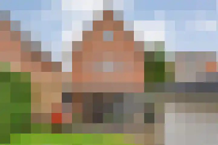 De Marke van Leusen 24 Nieuwleusen thumbnail 54