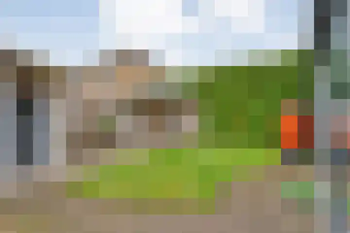 De Marke van Leusen 24 Nieuwleusen thumbnail 55