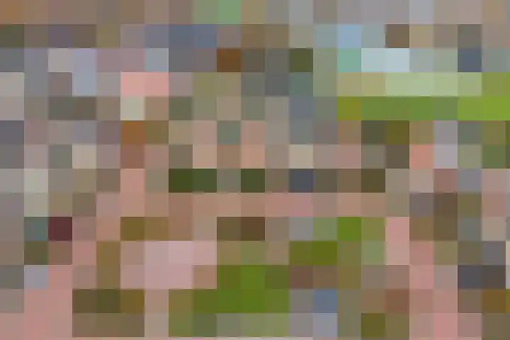De Marke van Leusen 24 Nieuwleusen thumbnail 58