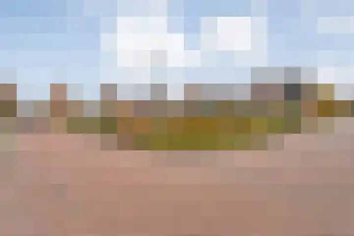 De Marke van Leusen 24 Nieuwleusen thumbnail 59