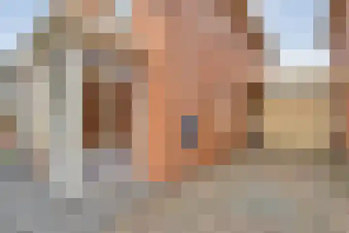 De Marke van Leusen 24 Nieuwleusen thumbnail 6