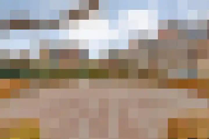 De Marke van Leusen 24 Nieuwleusen thumbnail 60