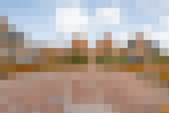 De Marke van Leusen 24 Nieuwleusen thumbnail 60