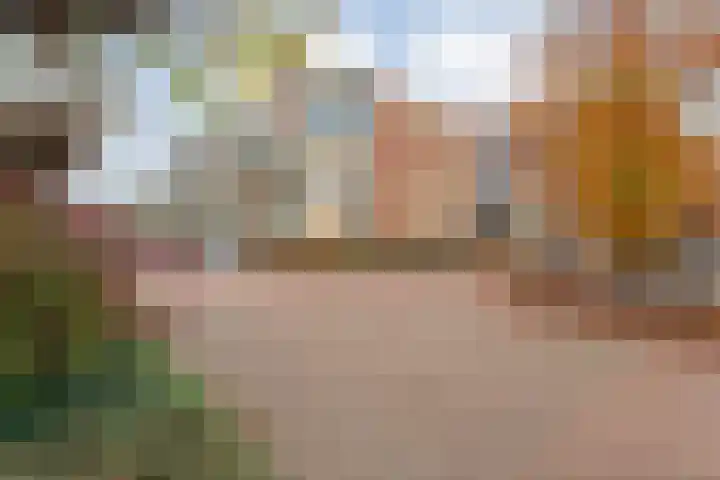 De Marke van Leusen 24 Nieuwleusen thumbnail 61