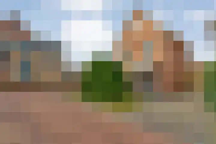 De Marke van Leusen 24 Nieuwleusen thumbnail 62