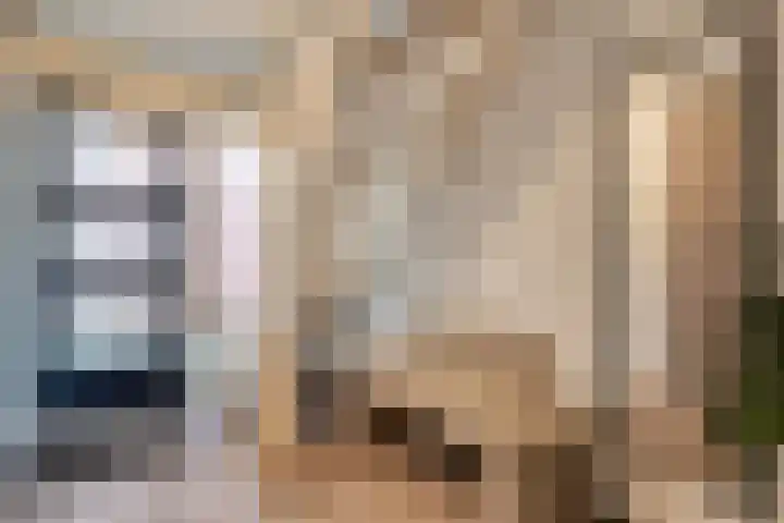 De Marke van Leusen 24 Nieuwleusen thumbnail 8
