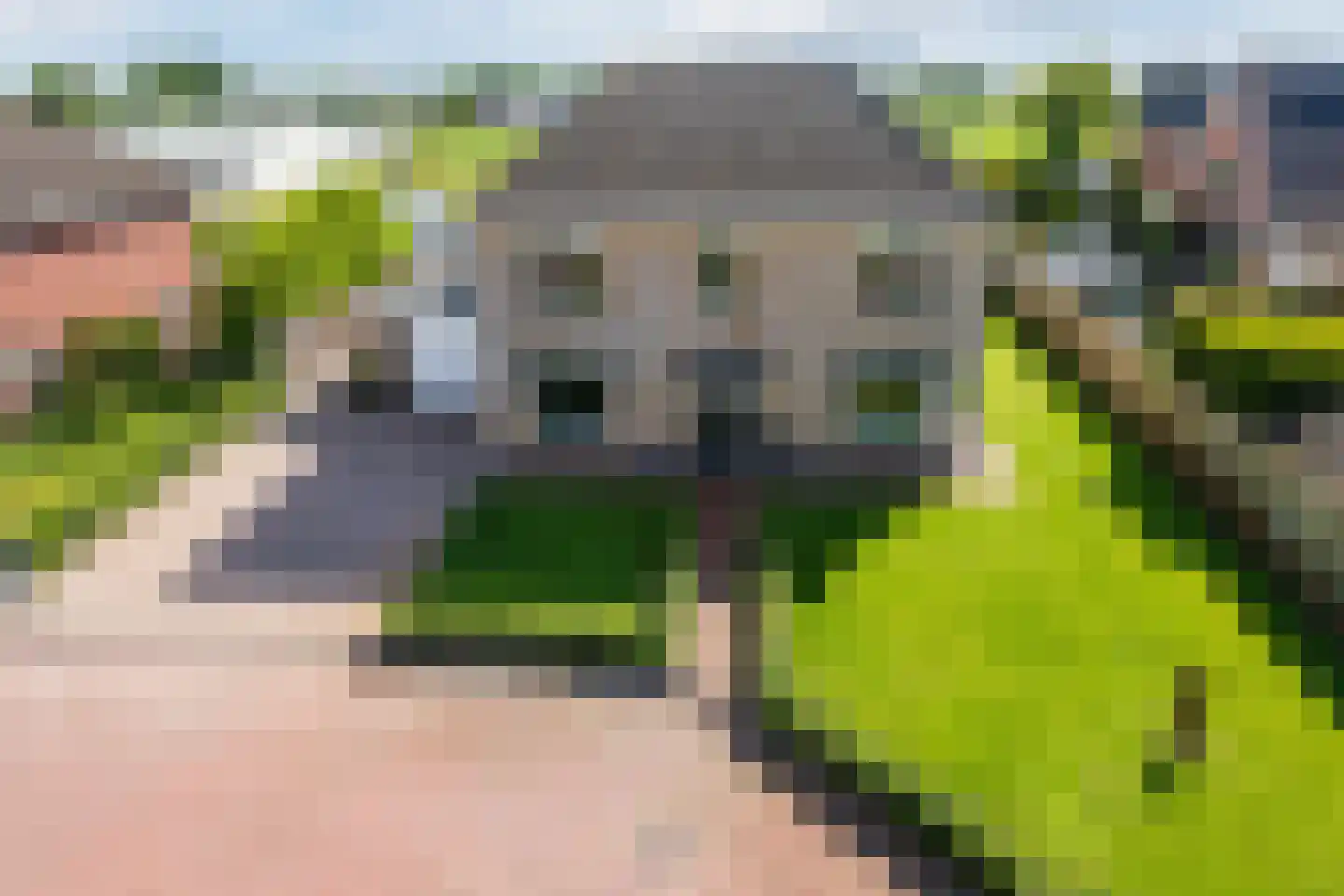 De Marke van Leusen 25 in Nieuwleusen