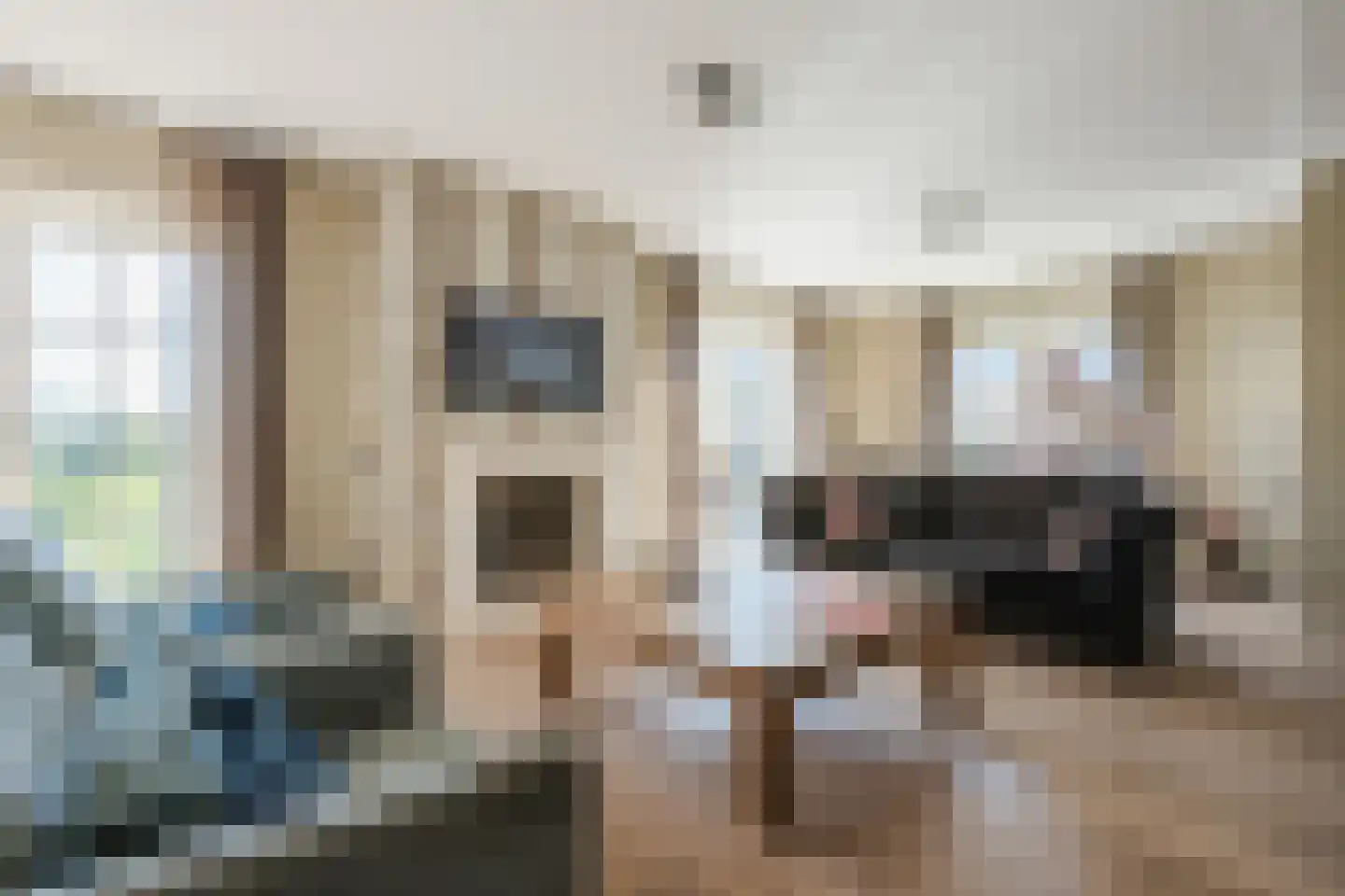 De Marke van Leusen 25 Nieuwleusen thumbnail 15