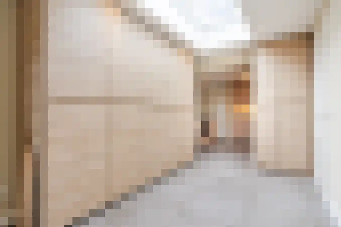 De Marke van Leusen 25 Nieuwleusen thumbnail 21