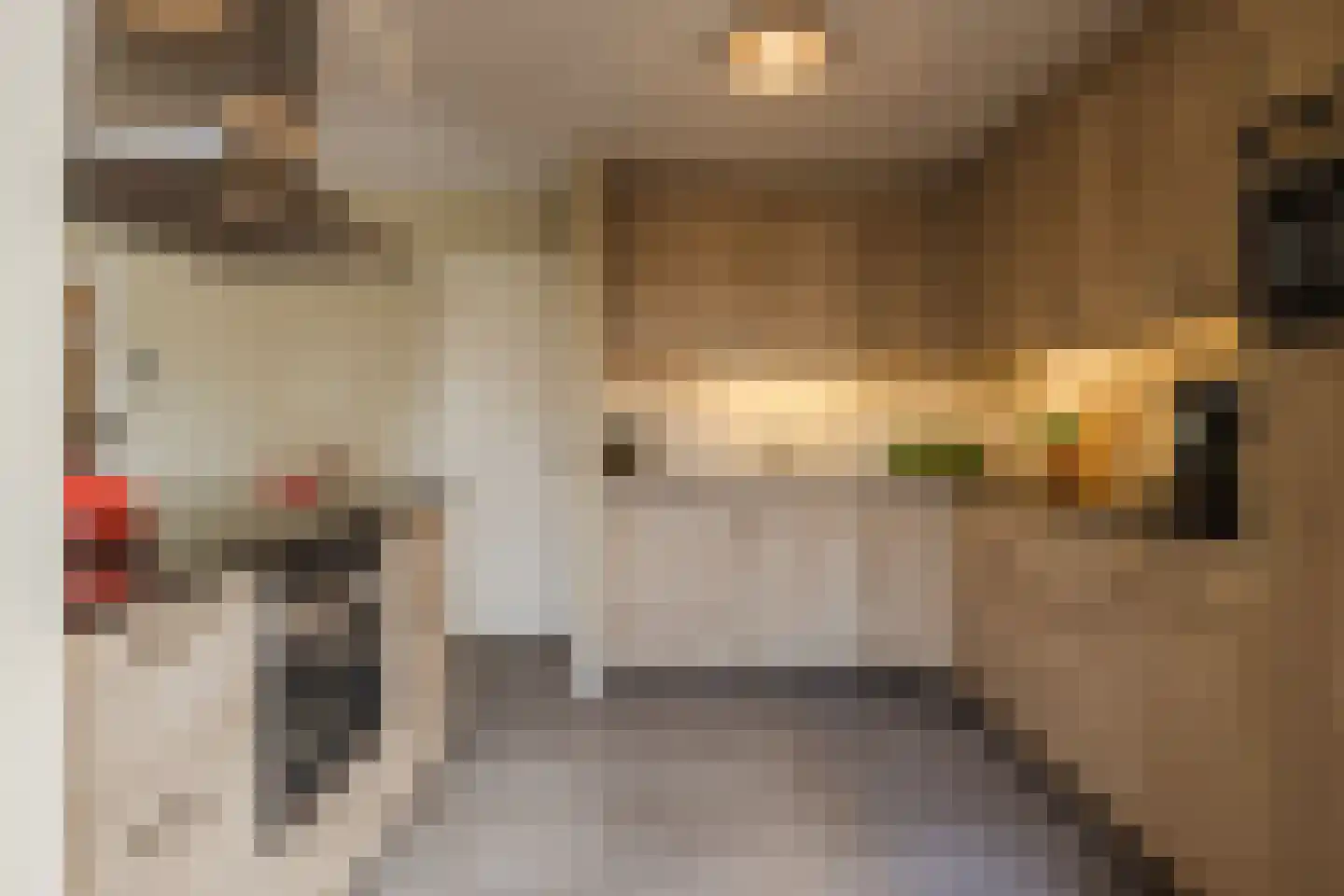 De Marke van Leusen 25 Nieuwleusen thumbnail 21