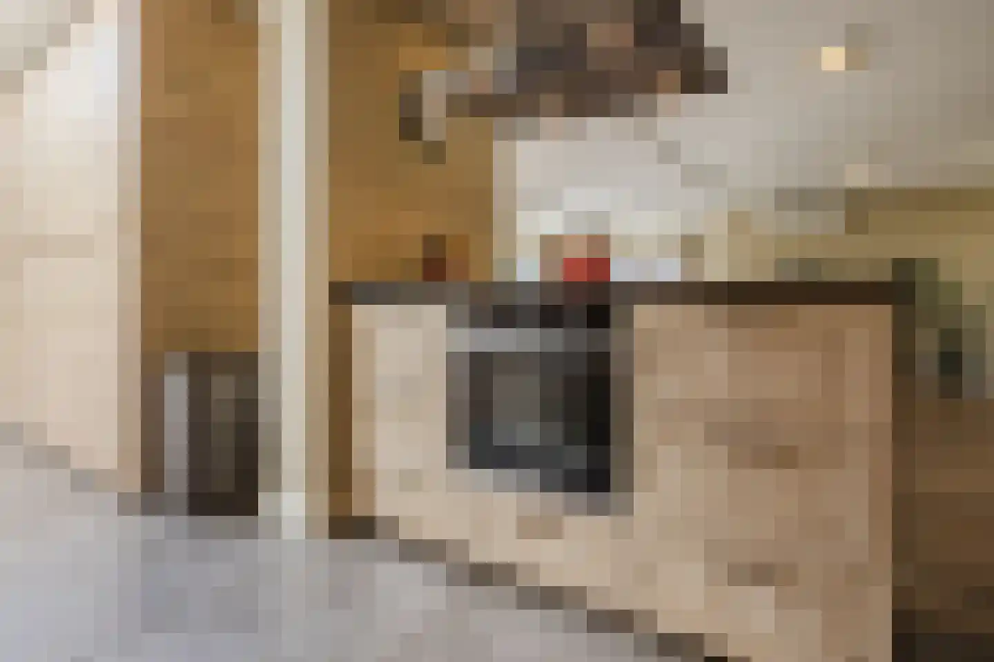 De Marke van Leusen 25 Nieuwleusen thumbnail 22