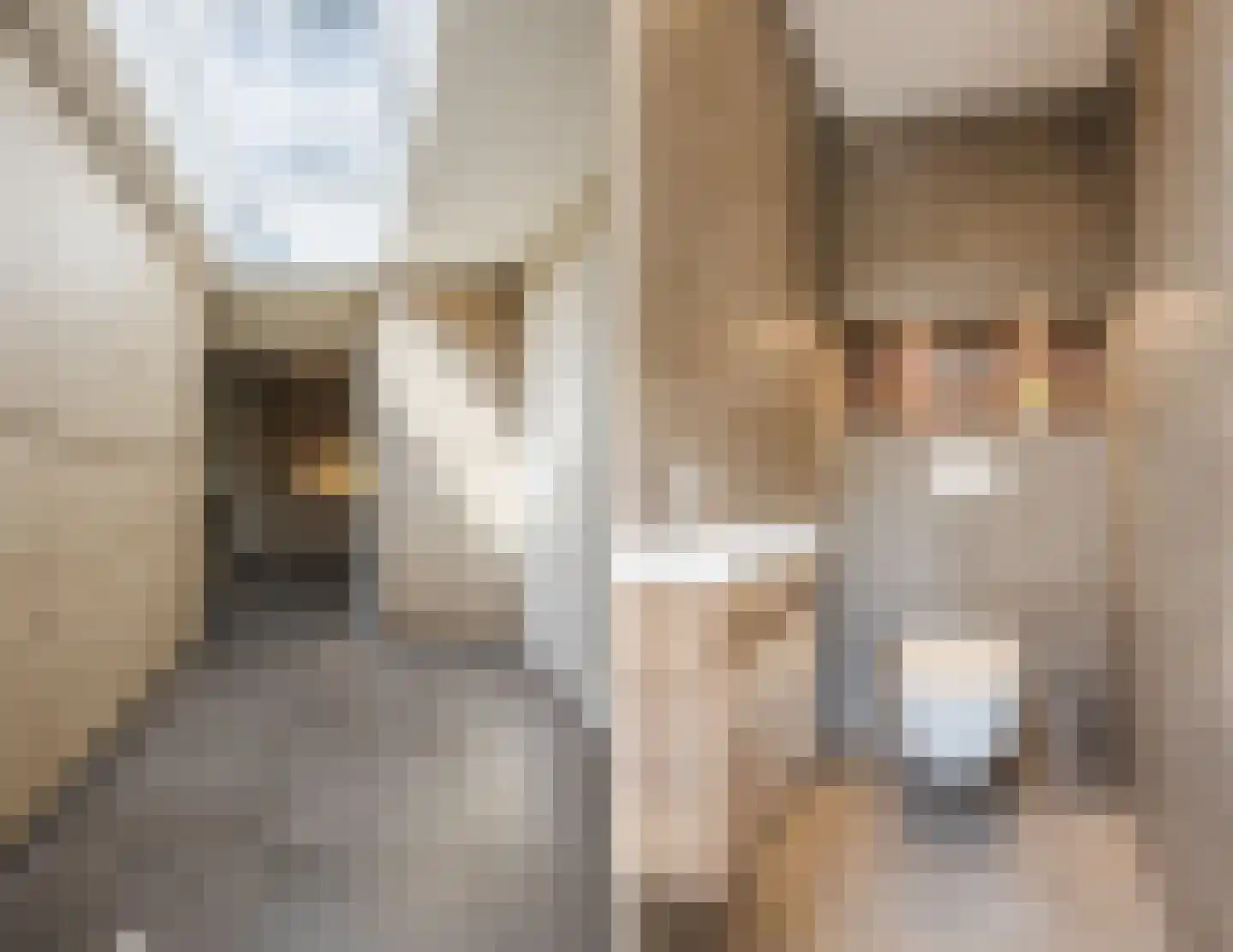 De Marke van Leusen 25 Nieuwleusen thumbnail 27