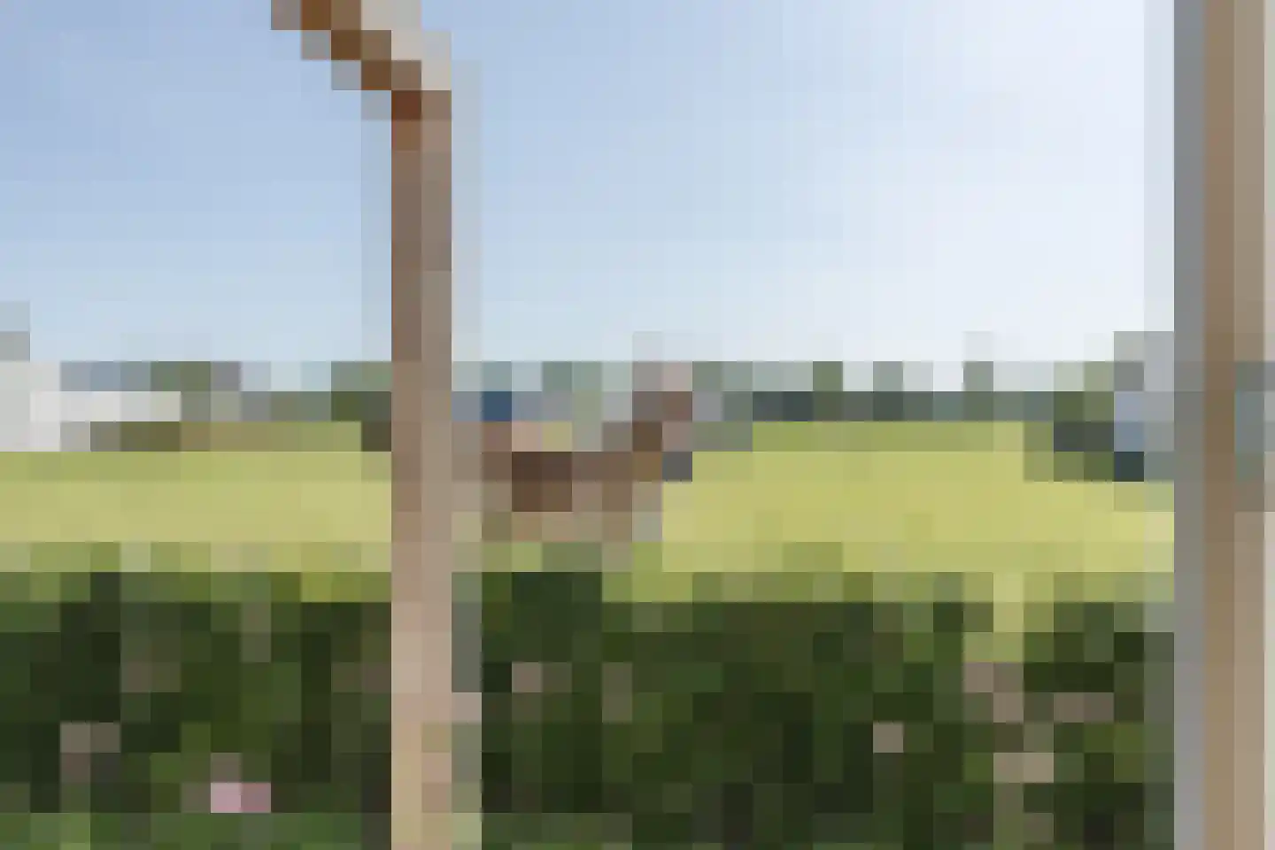 De Marke van Leusen 25 Nieuwleusen thumbnail 30