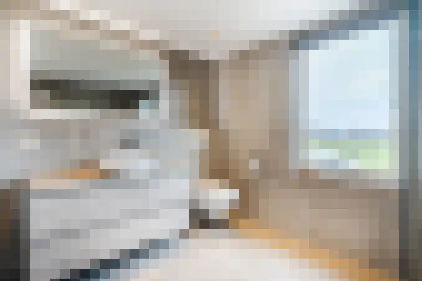 De Marke van Leusen 25 Nieuwleusen thumbnail 34