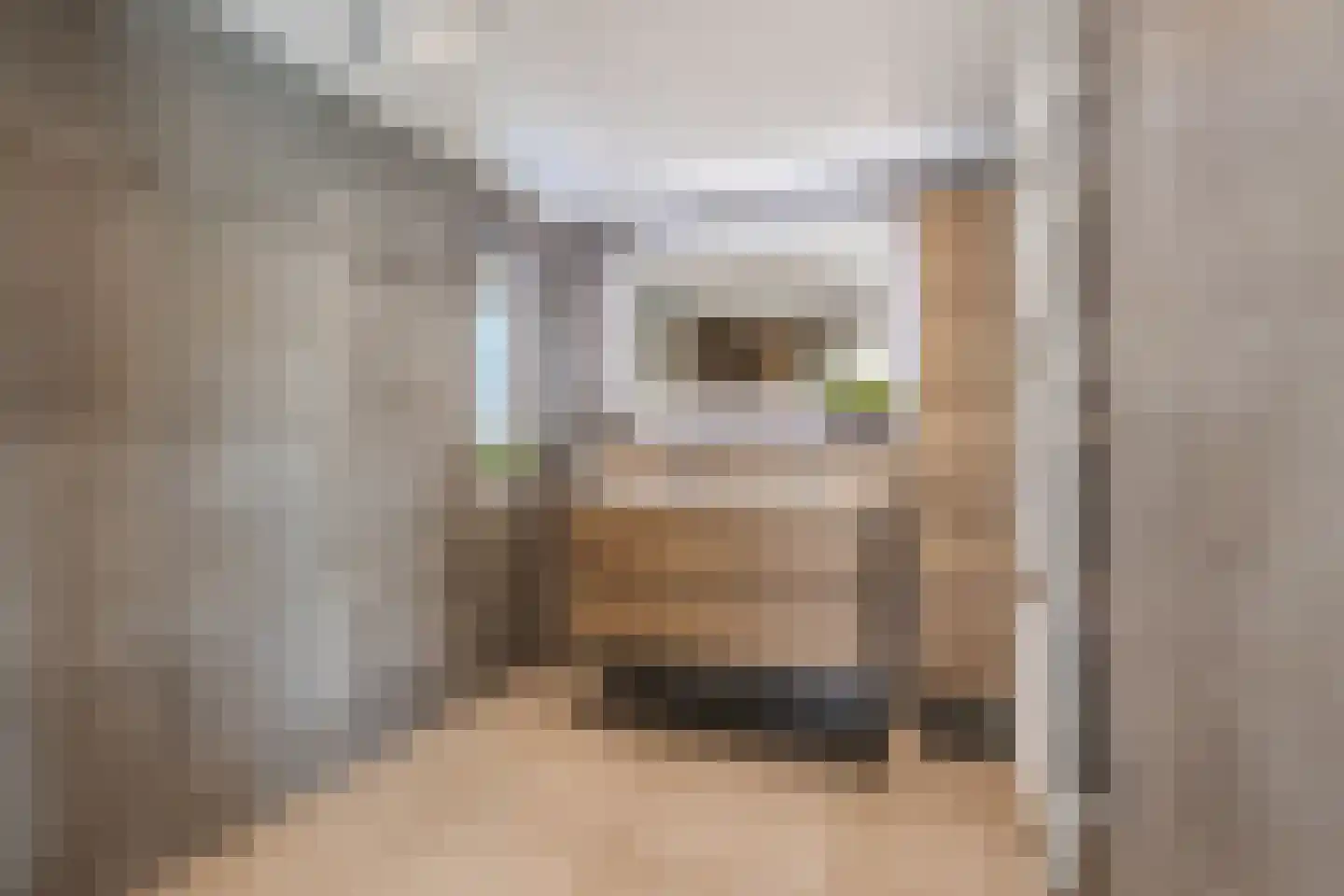 De Marke van Leusen 25 Nieuwleusen thumbnail 34