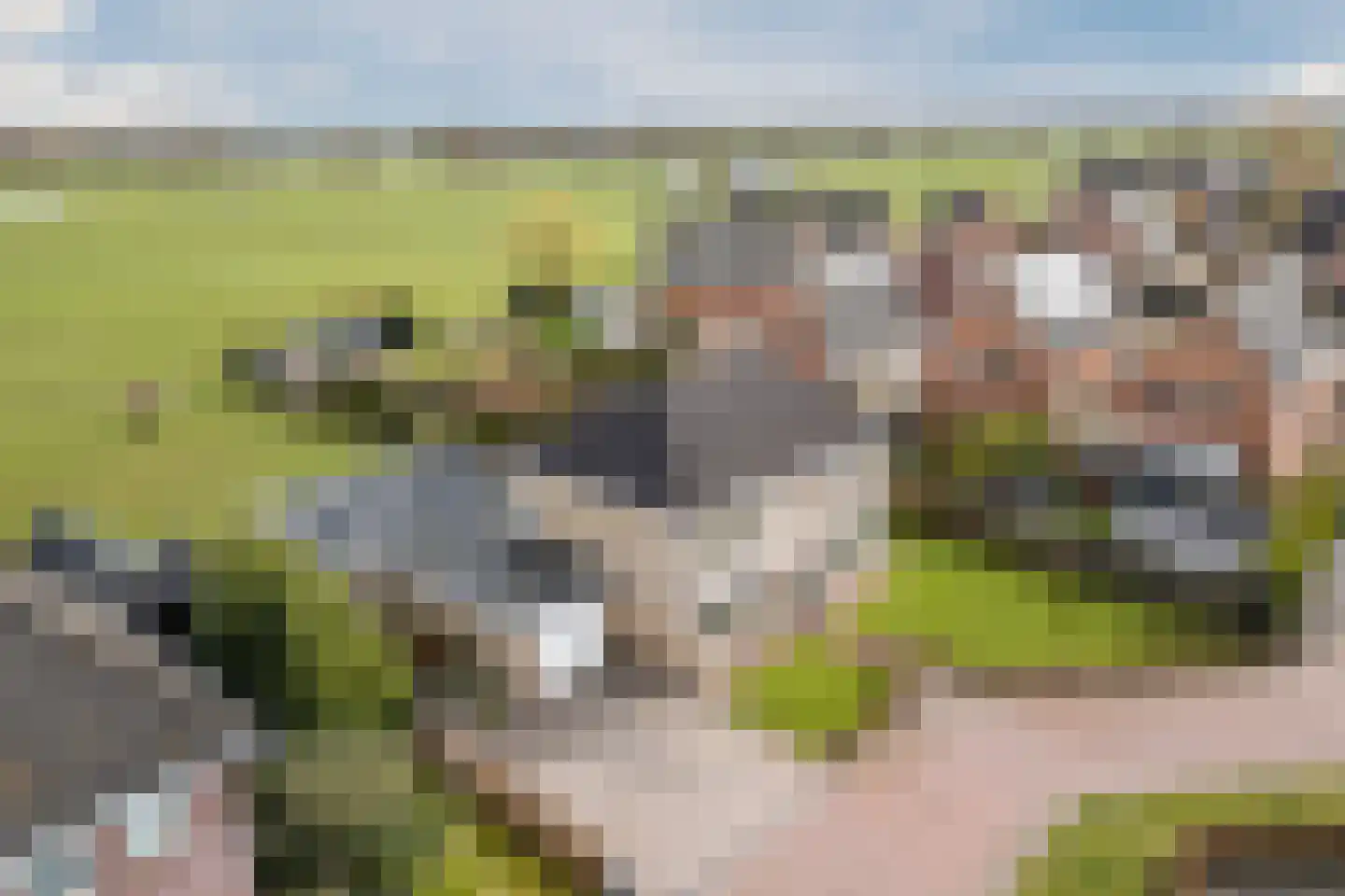 De Marke van Leusen 25 Nieuwleusen thumbnail 53
