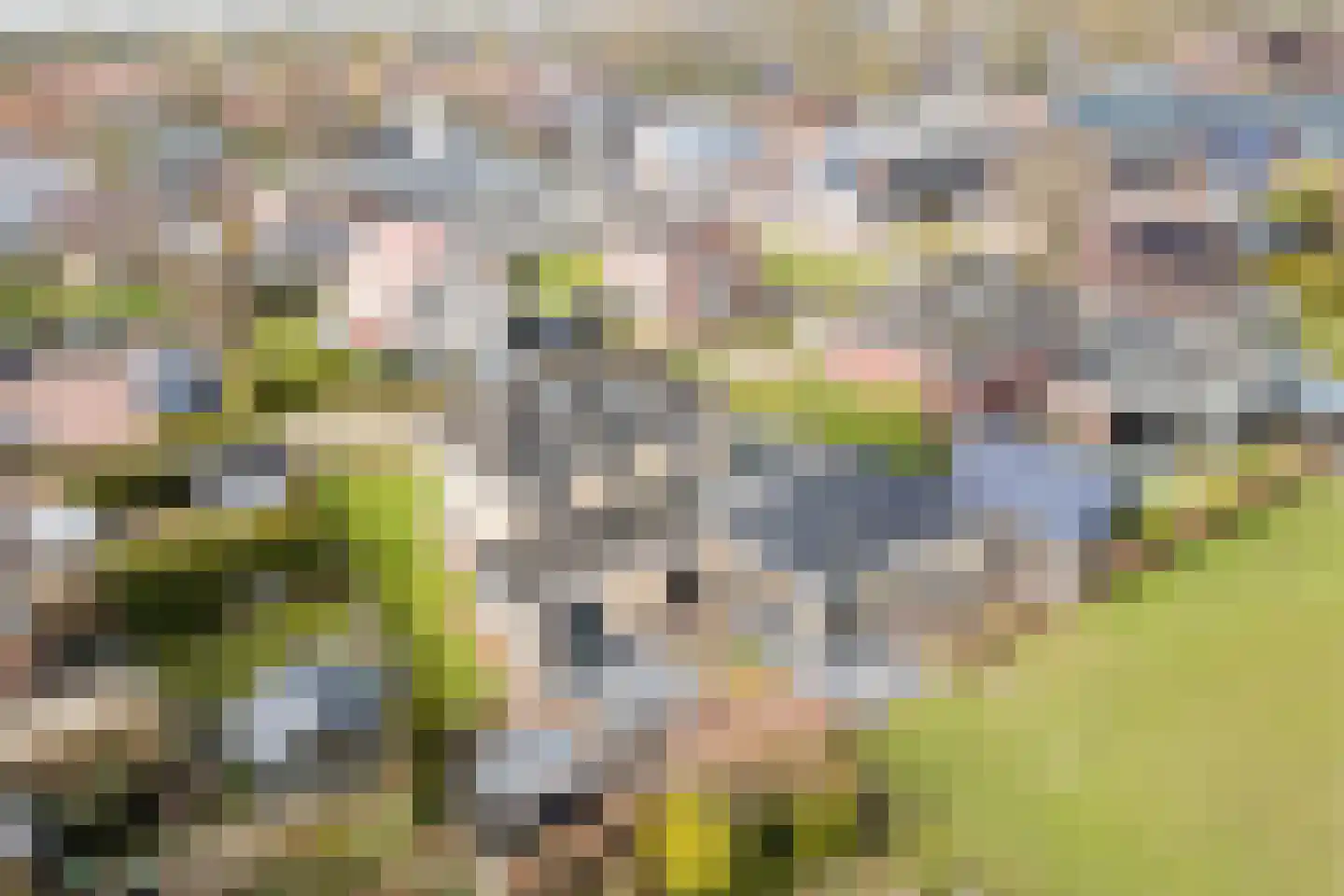 De Marke van Leusen 25 Nieuwleusen thumbnail 55