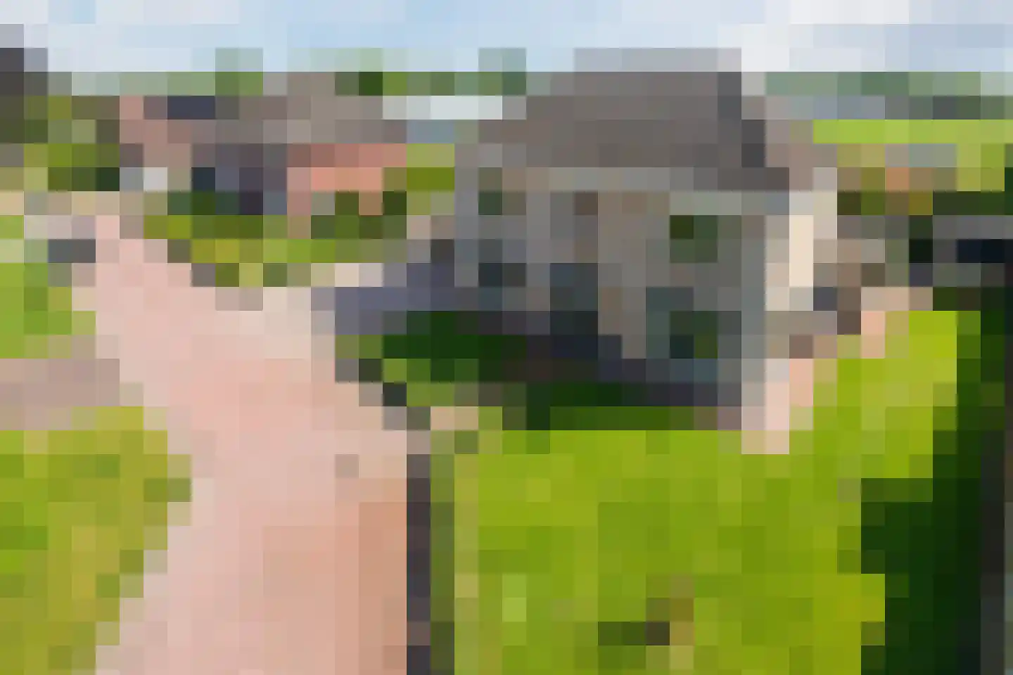 De Marke van Leusen 25 Nieuwleusen thumbnail 6