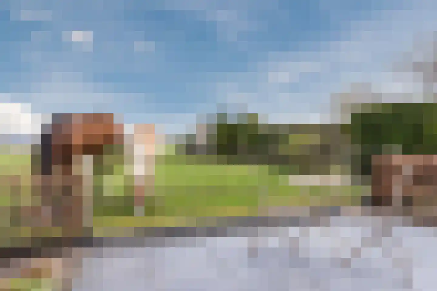 De Marke van Leusen 25 Nieuwleusen thumbnail 62