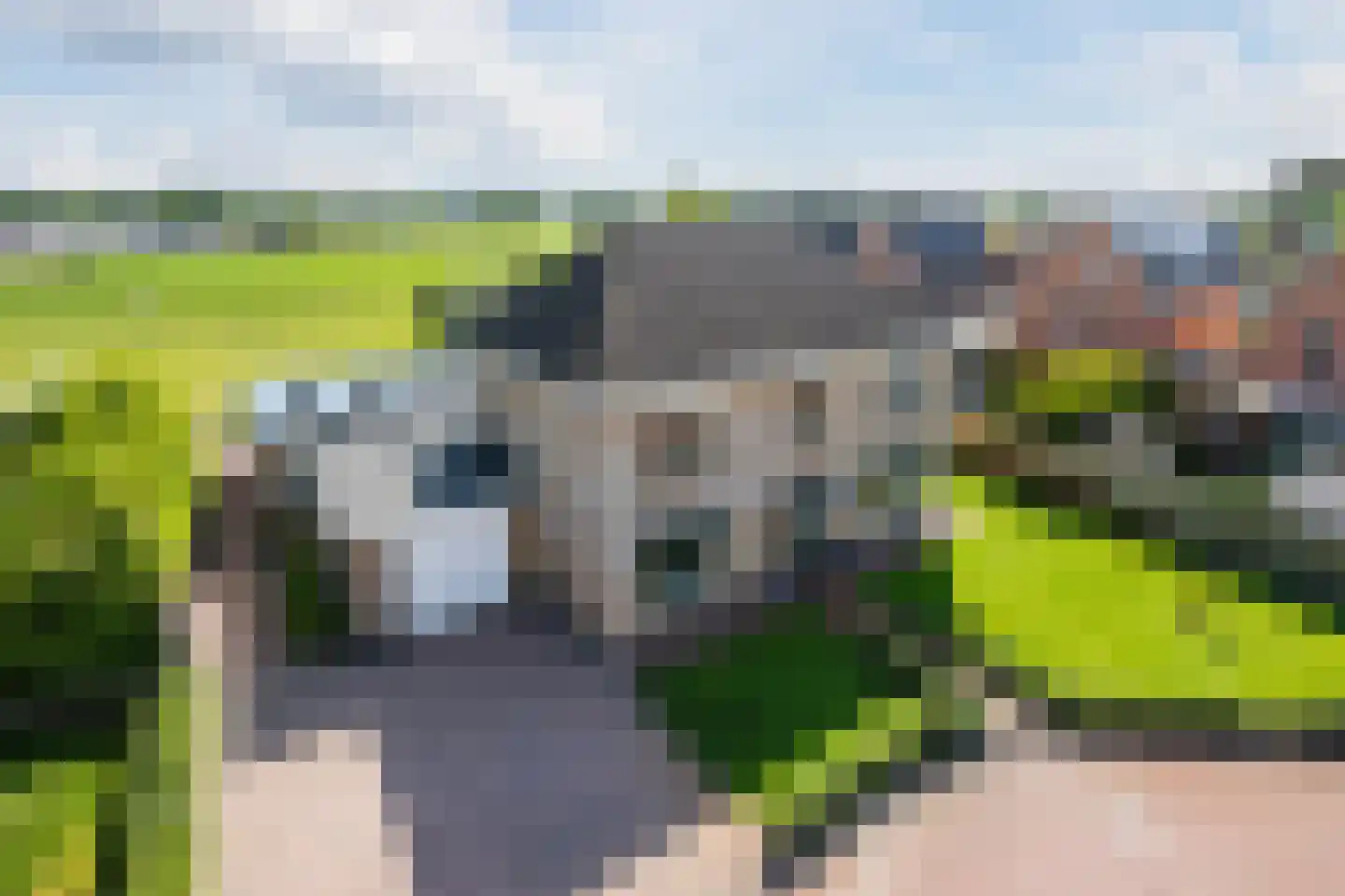 De Marke van Leusen 25 Nieuwleusen thumbnail 7