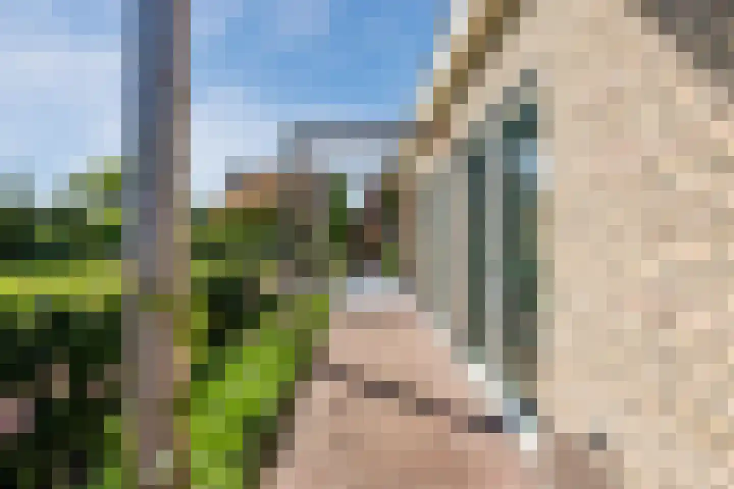 De Marke van Leusen 25 Nieuwleusen thumbnail 74
