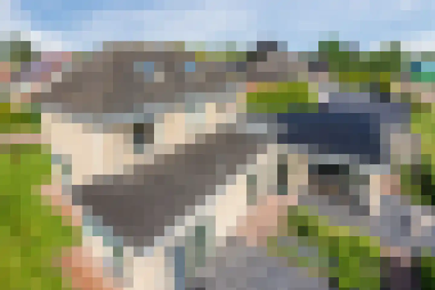 De Marke van Leusen 25 Nieuwleusen thumbnail 81